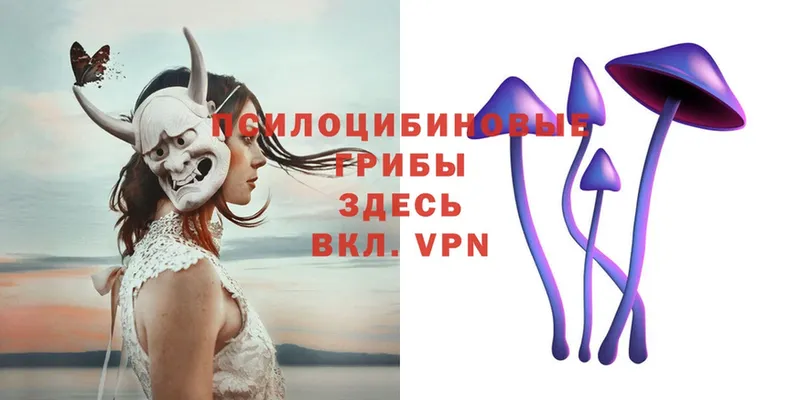 Галлюциногенные грибы Psilocybe  как найти закладки  Рыбинск 